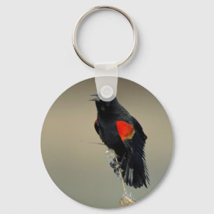 Red-winged Blackbird Key Ring