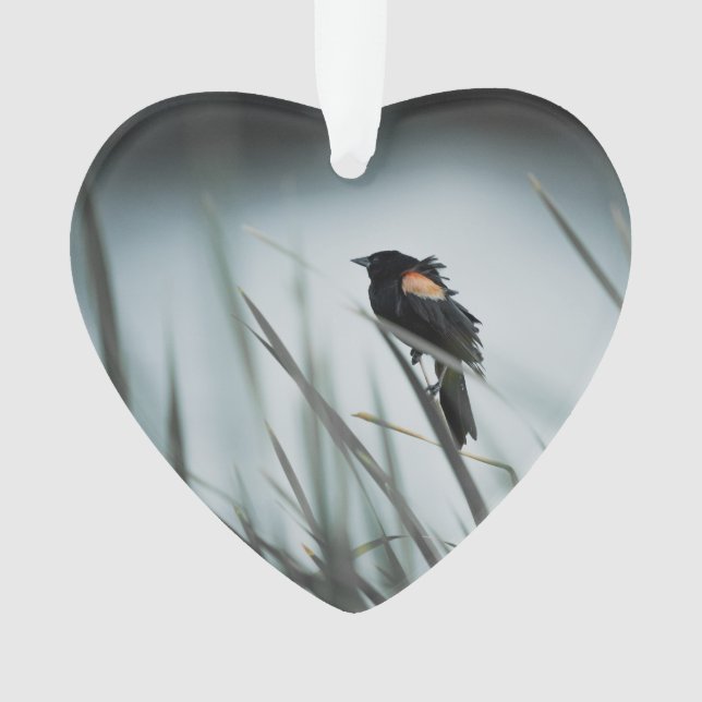 Red-winged Blackbird Marsh Dated Photo Custom Ornament (Front)
