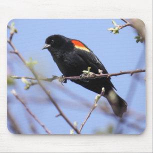 Red-winged Blackbird Mouse Mat
