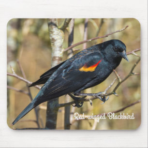 Red-Winged Blackbird Mouse Mat