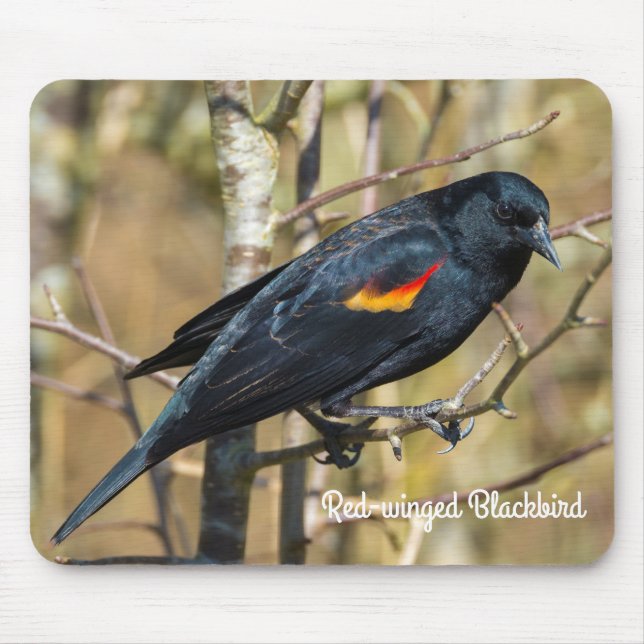 Red-Winged Blackbird Mouse Mat (Front)