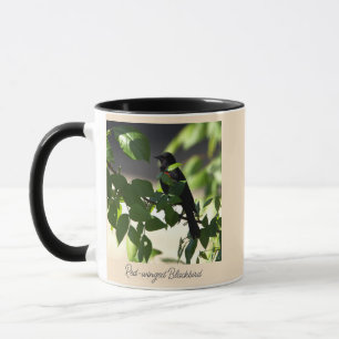 Red-winged Blackbird Mug