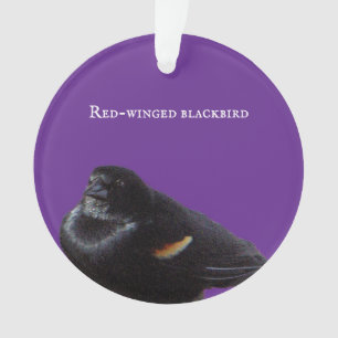 Red-winged Blackbird Ornament