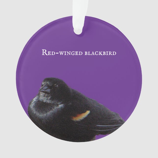 Red-winged Blackbird Ornament (Front)