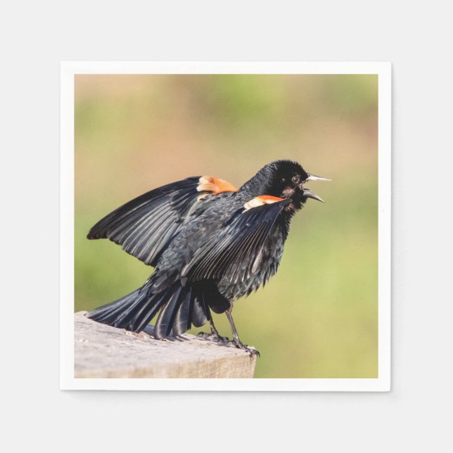 Red Winged Blackbird Singing Napkin (Front)