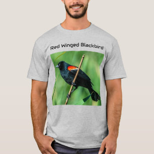Red Winged Blackbird T-Shirt