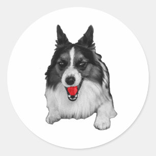 Red Wink, Bright Friend Classic Round Sticker