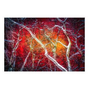 Red winter night photo print