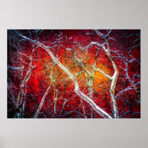 Red winter night poster