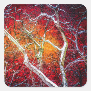 Red winter night square sticker