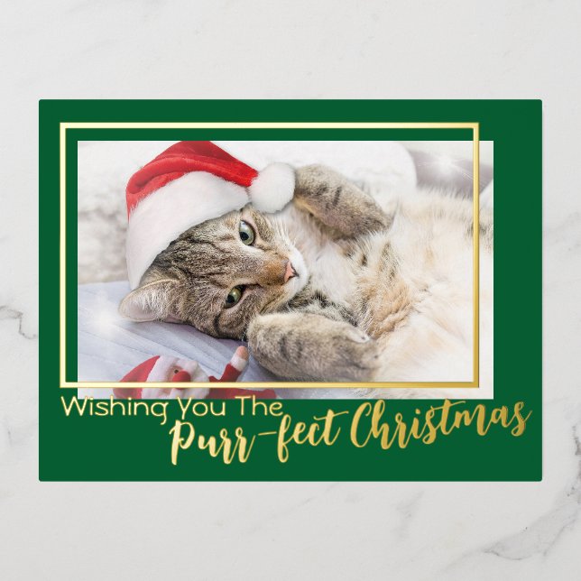 Red Wishing You The Purr-fect Christmas 2 Photo Foil Holiday Postcard (Front)