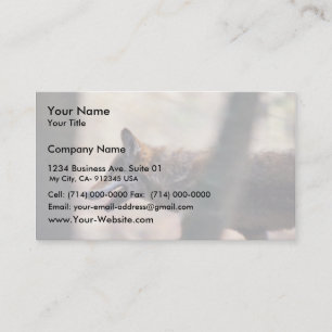 Red Wolf Business Card