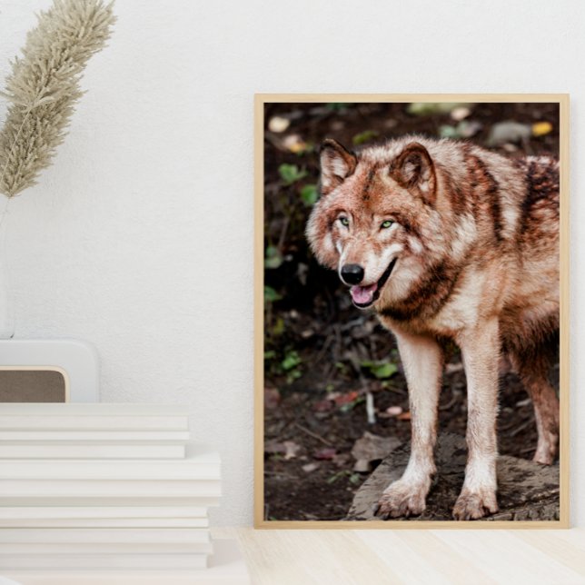 Red Wolf Cabin Style Modern Photo Poster (Creator Uploaded)