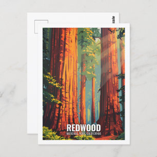 Red Wood National Park California USA  Postcard