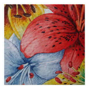 red yellow and blue lily flower contempory poster