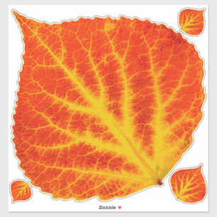 Red & Yellow Aspen Leaf #10