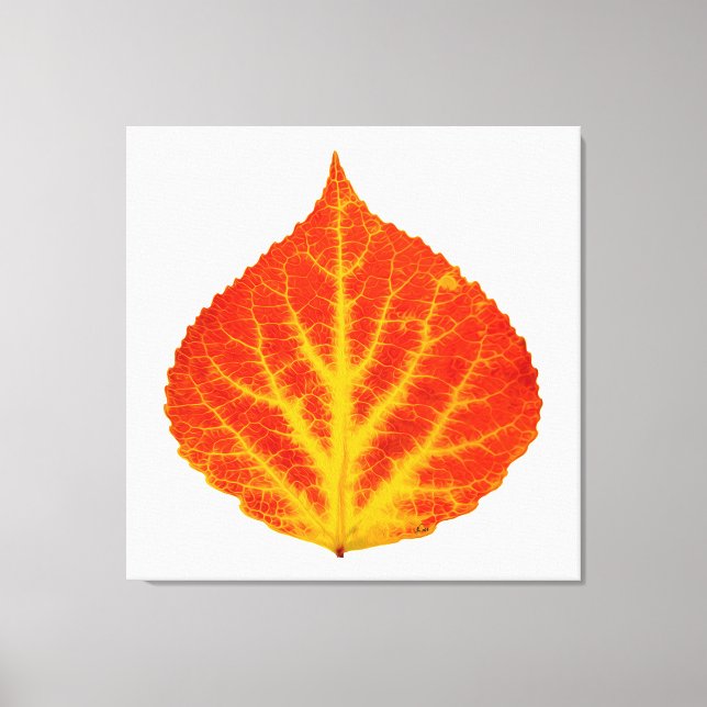 Red & Yellow Aspen Leaf #10 Canvas Print (Front)