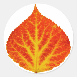 Red & Yellow Aspen Leaf #10 Classic Round Sticker