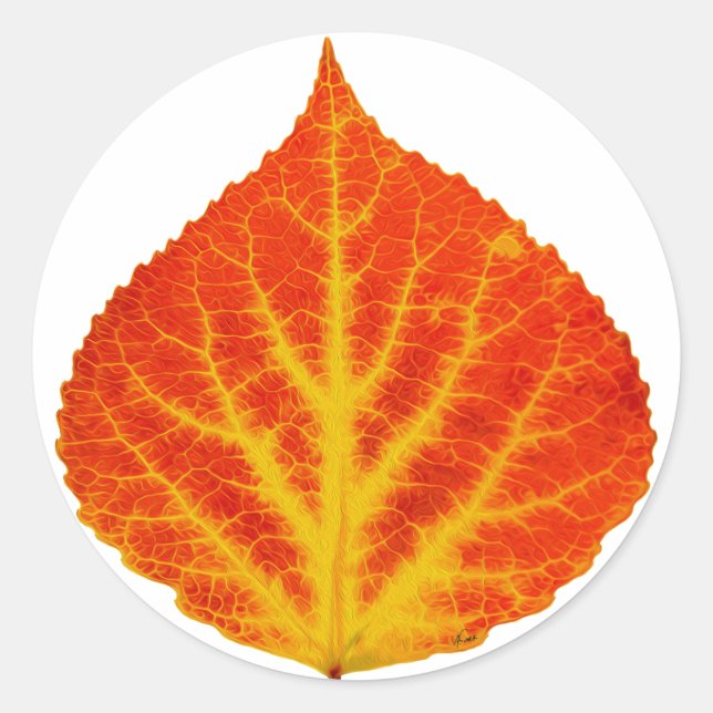 Red & Yellow Aspen Leaf #10 Classic Round Sticker (Front)
