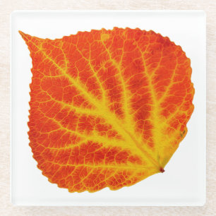 Red & Yellow Aspen Leaf #10 Glass Coaster