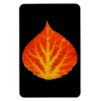 Red & Yellow Aspen Leaf #10