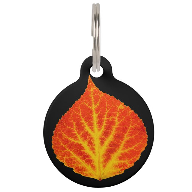 Red & Yellow Aspen Leaf #10 Pet Tag (Front)