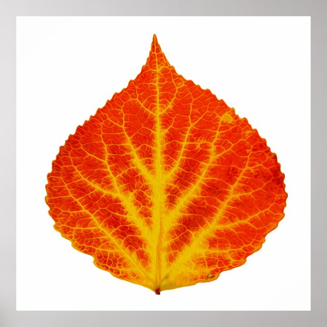 Red & Yellow Aspen Leaf #10 Poster (Front)