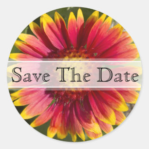 Red & Yellow Blanket Flower Floral Wedding Sticker