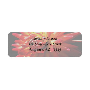 Red Yellow Dahlia Flower Address Label