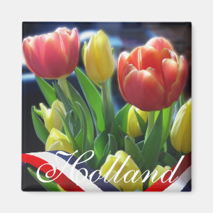 Red Yellow Dutch Tulips Holland Fridge Magnet