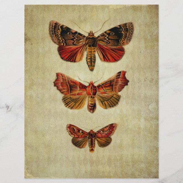 Red & Yellow Moths Scrapbook Ephemera (Front)