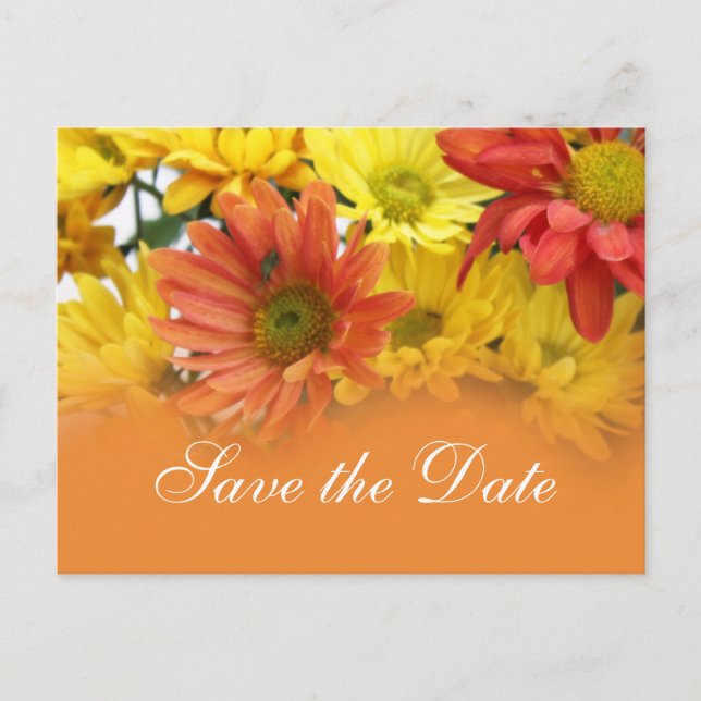 Red, yellow, orange daisy flower save the date announcement postcard (Front)