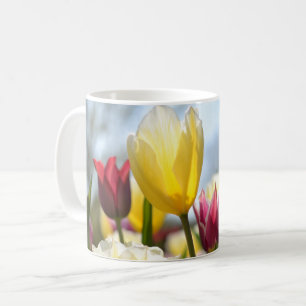 Red, Yellow & Pink Tulips in the Sun Coffee Mug