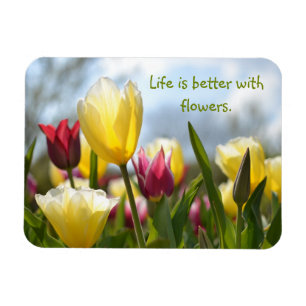 Red, Yellow & Pink Tulips in the Sun Motivational Magnet