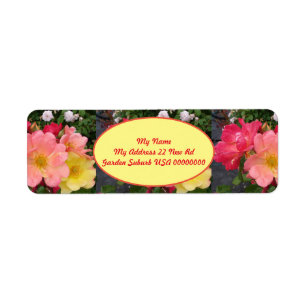 Red Yellow Rose Flower Floral Garden