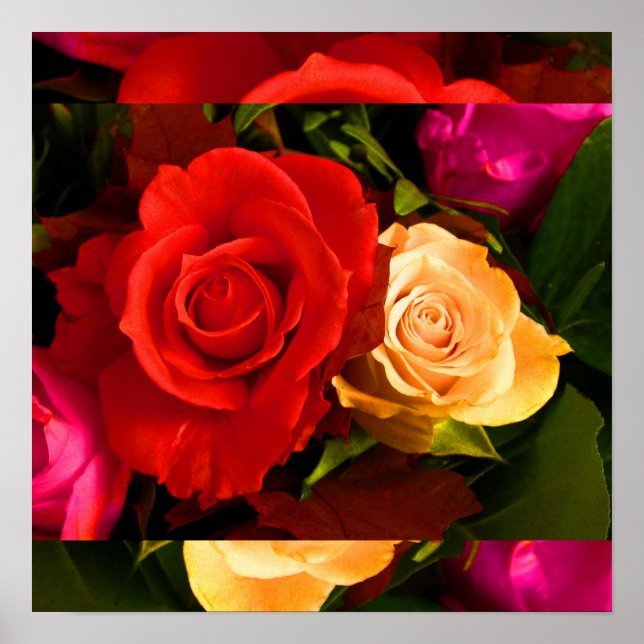 Red Yellow Rose I Poster (Front)