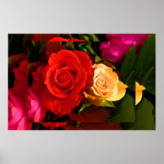 Red Yellow Rose II Poster