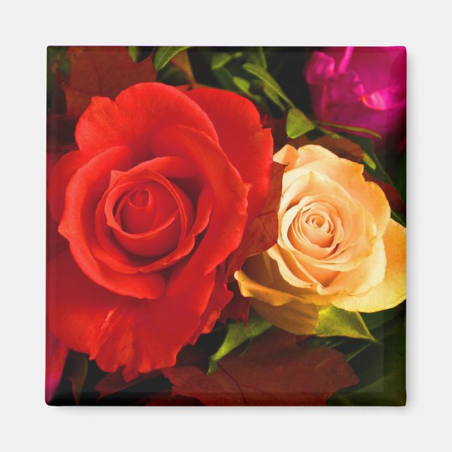 Red Yellow Rose Magnet - Customisable (Front)