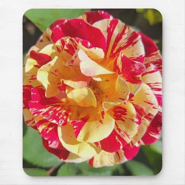 Red & Yellow Rose Mouse Pad (Front)