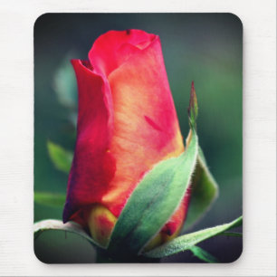 Red Yellow Rosebud Flower Mouse Mat