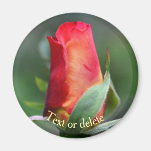 Red Yellow Rosebud Flower Personalized Magnet