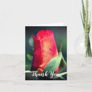Red Yellow Rosebud Flower Thank You Card