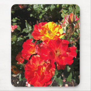 Red & Yellow Roses, Portland, Oregon Mouse Mat