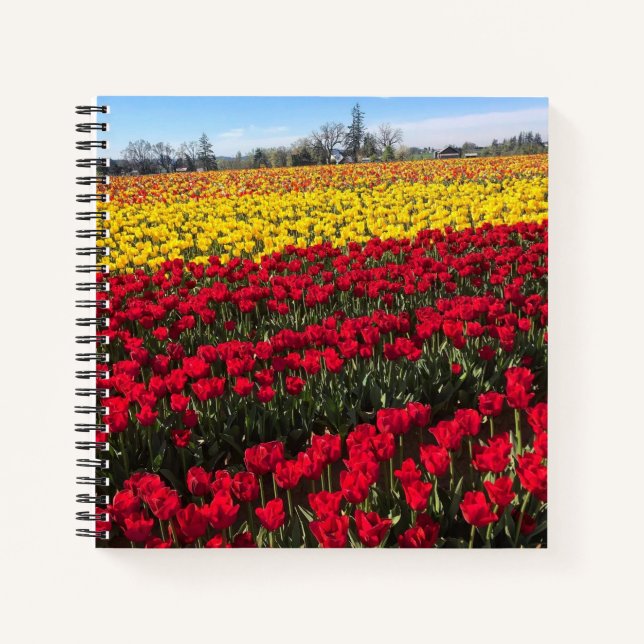 Red & Yellow Tulip Field Notebook (Front)