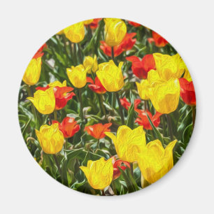 Red & Yellow Tulips Magnet