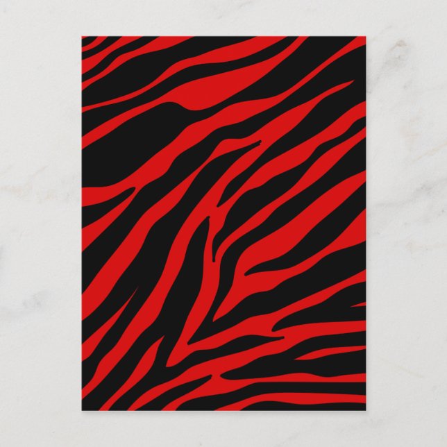 red zebra postcard (Front)