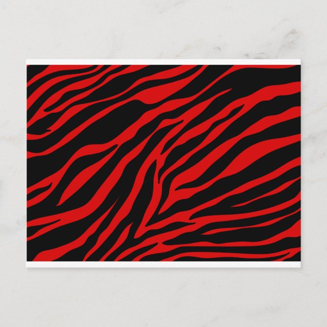 red zebra postcard (Front)
