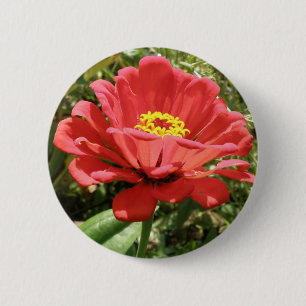 Red Zinnia Button