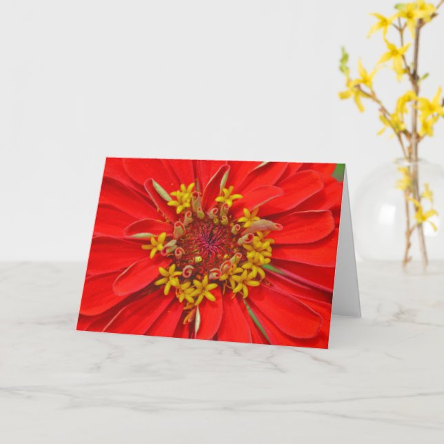 Red Zinnia Flower Close Up Art Note Card (Yellow Flower)