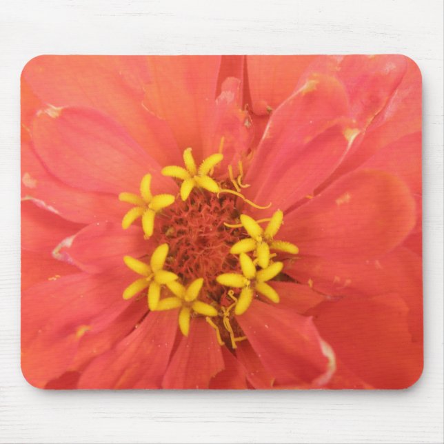 Red Zinnia Macro Mousepad (Front)